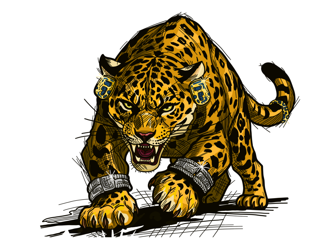 Banner Principal DTF