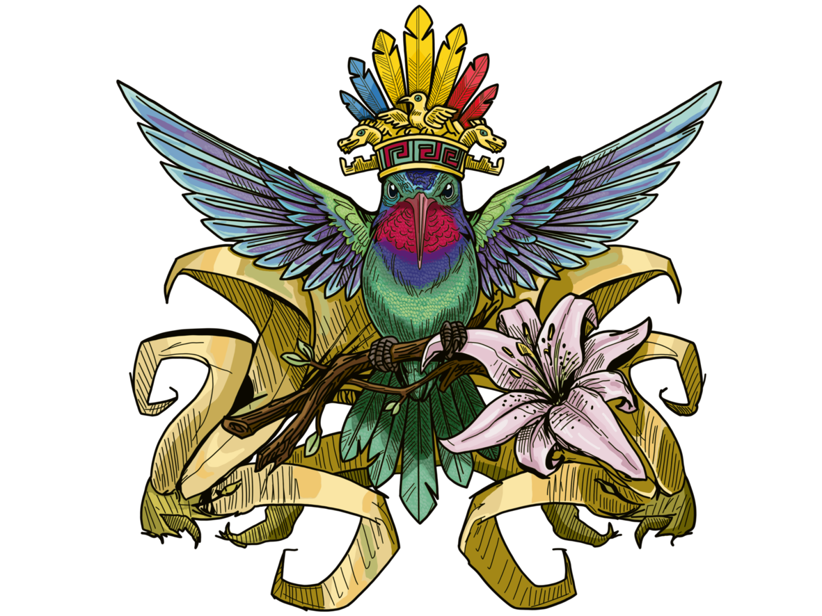 Nuevo Lanzamiento 2